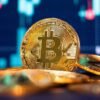 Mixed Trading in the Cryptocurrency Market: A Tale of Highs and Lows