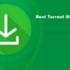 Best Torrent Sites in 2024: