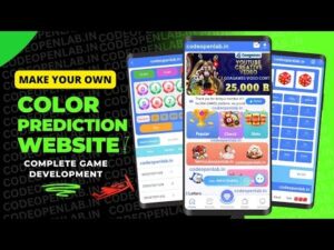 Strategies for Success in Goa Games Colour Prediction