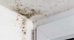 5 Practical Ways to Identify Water Leakage in Flats 