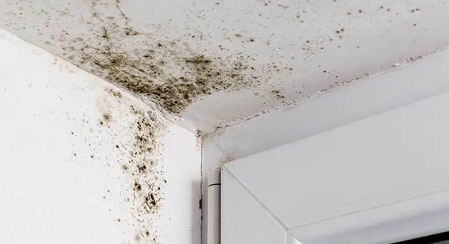 5 Practical Ways to Identify Water Leakage in Flats 