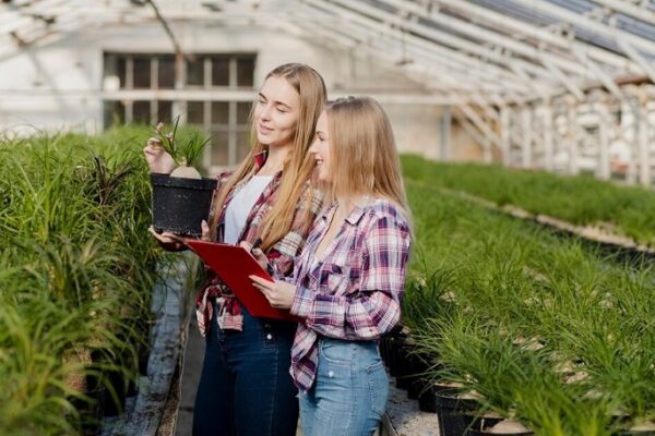 Agriculture Business Ideas: Exploring Opportunities in the Agribusiness Sector