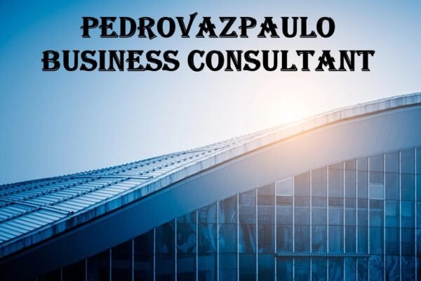 pedrovazpaulo business consultant